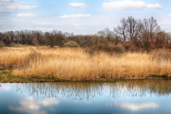 Naturaleza Salvaje Intacta Soleado Día Primavera Wroclaw Polonia — Foto de Stock