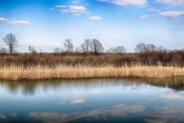 Naturaleza Salvaje Intacta Soleado Día Primavera Wroclaw Polonia — Foto de Stock