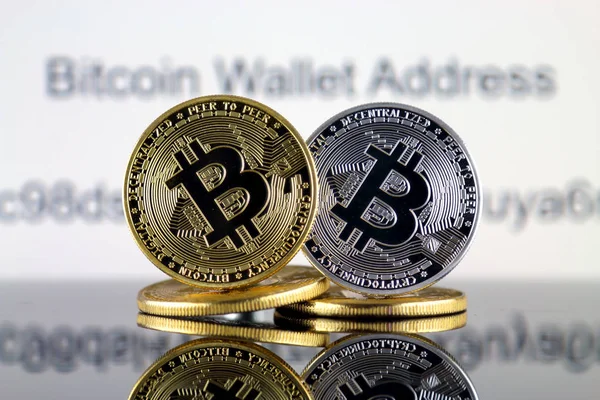 Concepto Bitcoin Btc Código Dirección Cartera Bitcoin — Foto de Stock