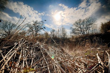 Wroclaw, Polonya yakınındaki aquifer. Vahşi, dokunulmamış doğa. muhteşem doğal manzara. Güneşli, bahar günü.