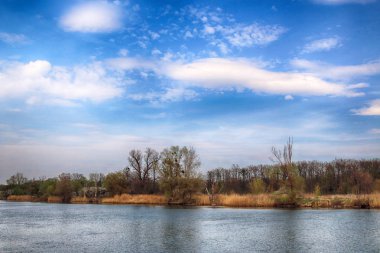 Wroclaw, Polonya yakınındaki Odra nehri. Vahşi, dokunulmamış doğa. Güneşli, bahar günü.
