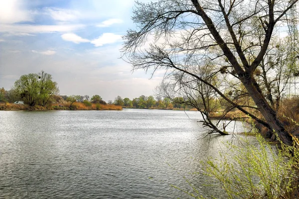 Río Odra Cerca Wroclaw Polonia Naturaleza Salvaje Intacta Soleado Día — Foto de Stock