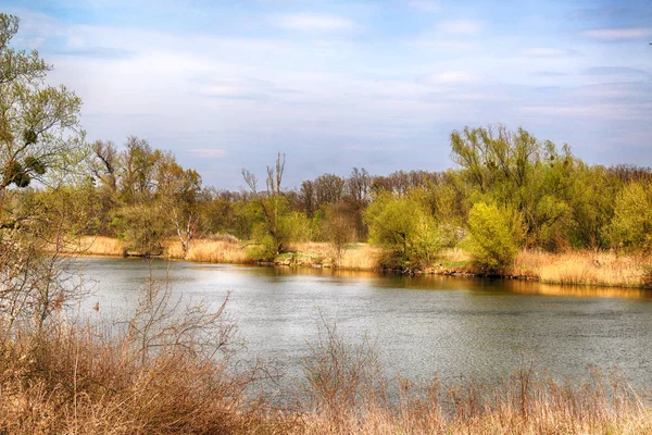 Река Одра Возле Вроцлава Польша Дикая Нетронутая Природа Солнечный Весенний — стоковое фото