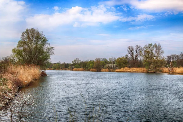 Řeka Odra Poblíž Wroclaw Polsku Divočina Nedotčená Příroda Slunečno Jarní — Stock fotografie