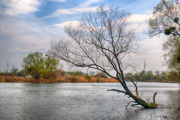 波兰弗罗茨瓦夫附近的奥德拉河 未触及的自然 阳光明媚 — 图库照片