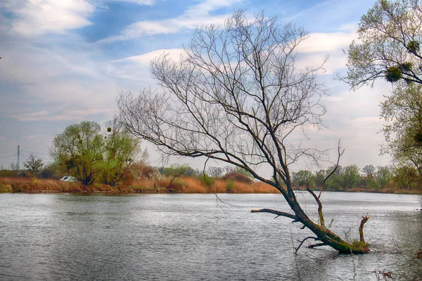 Río Odra Cerca Wroclaw Polonia Naturaleza Salvaje Intacta Soleado Día — Foto de Stock