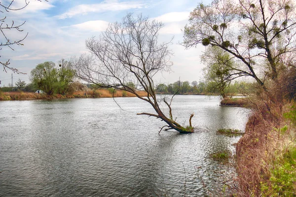 Řeka Odra Poblíž Wroclaw Polsku Divočina Nedotčená Příroda Slunečno Jarní — Stock fotografie