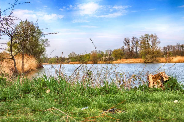 Río Odra Cerca Wroclaw Polonia Naturaleza Salvaje Intacta Soleado Día — Foto de Stock