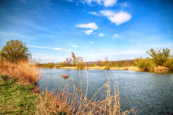 Floden Odra Närheten Wroclaw Polen Vild Orörd Natur Solig Vårdag — Stockfoto