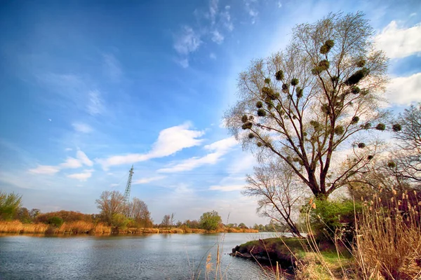 Река Одра Возле Вроцлава Польша Дикая Нетронутая Природа Солнечный Весенний — стоковое фото