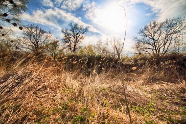 Wroclaw, Polonya yakınındaki aquifer. Vahşi, dokunulmamış doğa. muhteşem doğal manzara. Güneşli, bahar günü.