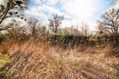 Wroclaw, Polonya yakınındaki aquifer. Vahşi, dokunulmamış doğa. muhteşem doğal manzara. Güneşli, bahar günü.