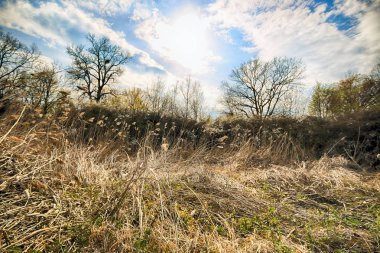 Wroclaw, Polonya yakınındaki aquifer. Vahşi, dokunulmamış doğa. muhteşem doğal manzara. Güneşli, bahar günü.
