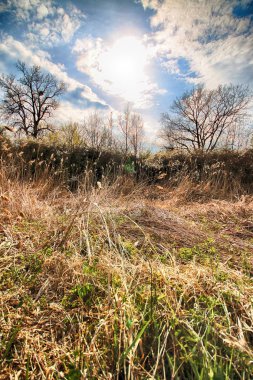 Wroclaw, Polonya yakınındaki aquifer. Vahşi, dokunulmamış doğa. muhteşem doğal manzara. Güneşli, bahar günü.