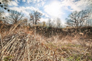 Wroclaw, Polonya yakınındaki aquifer. Vahşi, dokunulmamış doğa. muhteşem doğal manzara. Güneşli, bahar günü.