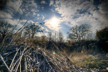 Wroclaw, Polonya yakınındaki aquifer. Vahşi, dokunulmamış doğa. muhteşem doğal manzara. Güneşli, bahar günü.