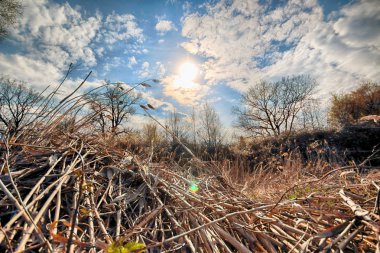 Wroclaw, Polonya yakınındaki aquifer. Vahşi, dokunulmamış doğa. muhteşem doğal manzara. Güneşli, bahar günü.