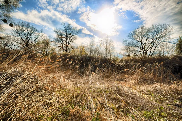 Wroclaw, Polonya yakınındaki aquifer. Vahşi, dokunulmamış doğa. muhteşem doğal manzara. Güneşli, bahar günü.