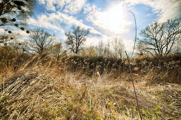 Wroclaw, Polonya yakınındaki aquifer. Vahşi, dokunulmamış doğa. muhteşem doğal manzara. Güneşli, bahar günü.