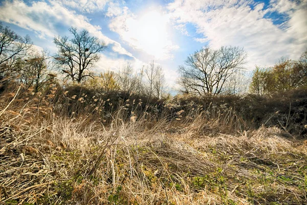 Wroclaw, Polonya yakınındaki aquifer. Vahşi, dokunulmamış doğa. muhteşem doğal manzara. Güneşli, bahar günü.