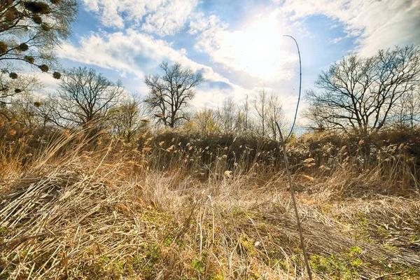 Wroclaw, Polonya yakınındaki aquifer. Vahşi, dokunulmamış doğa. muhteşem doğal manzara. Güneşli, bahar günü.
