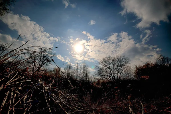 Akvifer Nära Wroclaw Polen Vild Orörd Natur Vackra Natur Landskap — Stockfoto