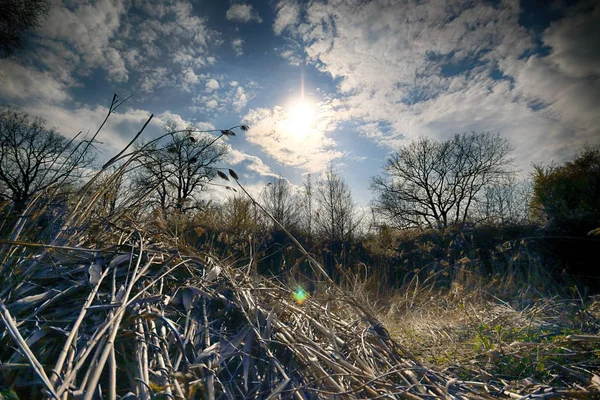 Wroclaw, Polonya yakınındaki aquifer. Vahşi, dokunulmamış doğa. muhteşem doğal manzara. Güneşli, bahar günü.