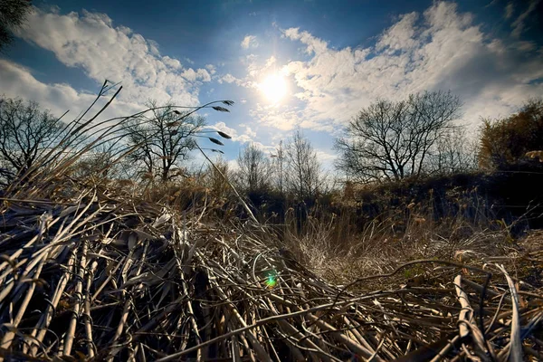 Wroclaw, Polonya yakınındaki aquifer. Vahşi, dokunulmamış doğa. muhteşem doğal manzara. Güneşli, bahar günü.