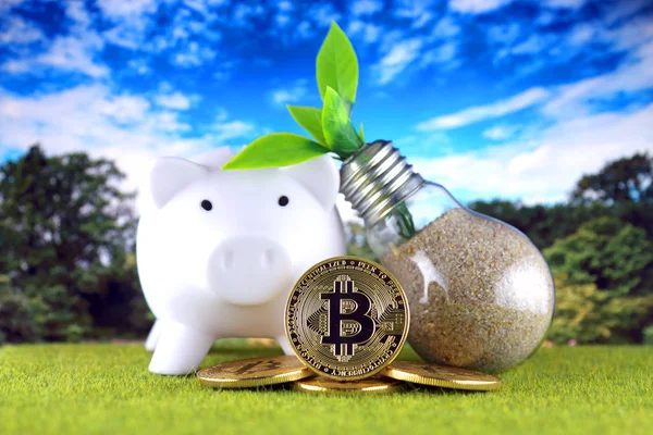 Bitcoin Btc Yeşil Yenilenebilir Enerji Kavramı Elektrik Fiyatları Kripto Para — Stok fotoğraf