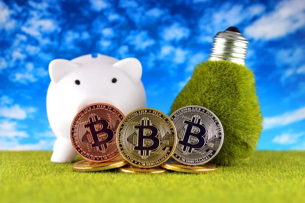 Bitcoin Btc Yeşil Yenilenebilir Enerji Kavramı Elektrik Fiyatları Kripto Para — Stok fotoğraf