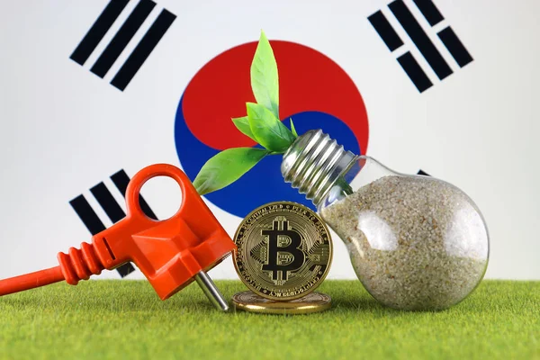 Bitcoin Btc Yeşil Yenilenebilir Enerji Konsepti Güney Kore Bayrağı Elektrik — Stok fotoğraf