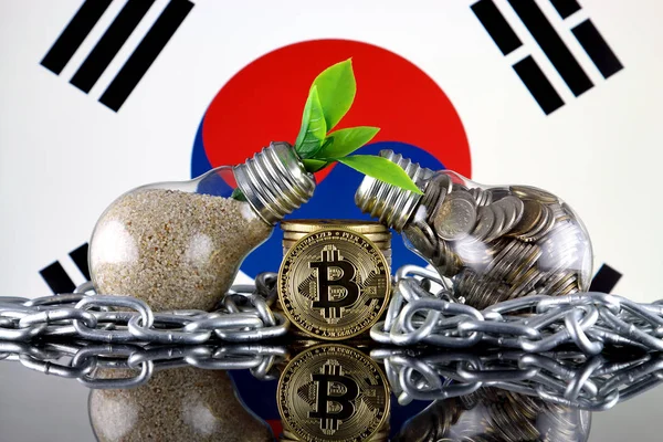 Bitcoin Btc Concept Énergie Renouvelable Verte Drapeau Corée Sud Prix — Photo