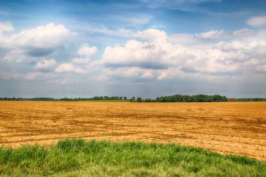 Wroclaw, Polonya yakınlarındaki Mayıs ayı sonunda güzel, renkli alanlar.