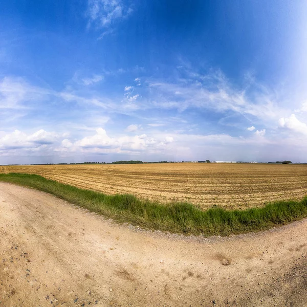 Bellissimi Campi Colorati Alla Fine Maggio Vicino Breslavia Polonia — Foto Stock