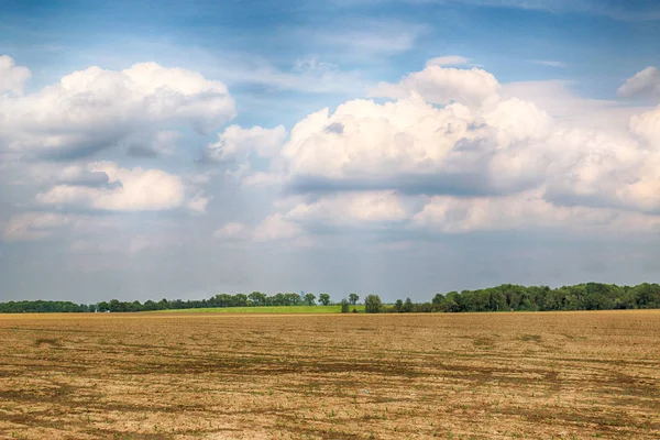 Mooie Kleurrijke Velden Aan Het Einde Van Mei Buurt Van — Stockfoto