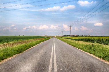 Wroclaw, Polonya yakınlarındaki Mayıs son günlerinde, renkli alanlar arasında boş, yerel yol.