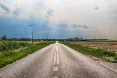 Wroclaw, Polonya yakınlarındaki Mayıs son günlerinde, renkli alanlar arasında boş, yerel yol.