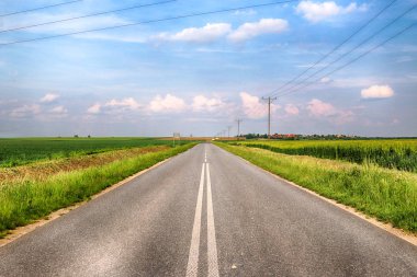 Wroclaw, Polonya yakınlarındaki Mayıs son günlerinde, renkli alanlar arasında boş, yerel yol.