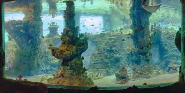 WROCLAW, POLAND - MAY 20, 2019: The Wroclaw Africarium (Polish: Afrykarium) is the only themed oceanarium devoted solely to exhibiting the fauna of Africa. Is a part of the Zoo in Wroclaw, Poland.