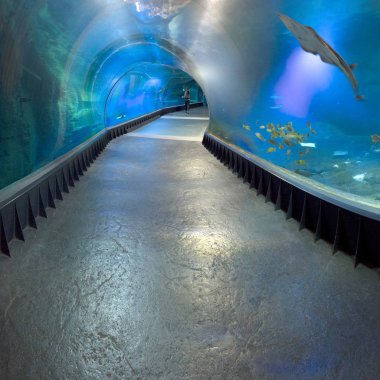 WROCLAW, POLAND - MAY 20, 2019: The Wroclaw Africarium (Polish: Afrykarium) is the only themed oceanarium devoted solely to exhibiting the fauna of Africa. Is a part of the Zoo in Wroclaw, Poland.
