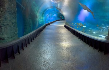 WROCLAW, POLAND - MAY 20, 2019: The Wroclaw Africarium (Polish: Afrykarium) is the only themed oceanarium devoted solely to exhibiting the fauna of Africa. Is a part of the Zoo in Wroclaw, Poland.