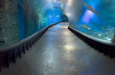 WROCLAW, POLAND - MAY 20, 2019: The Wroclaw Africarium (Polish: Afrykarium) is the only themed oceanarium devoted solely to exhibiting the fauna of Africa. Is a part of the Zoo in Wroclaw, Poland. clipart