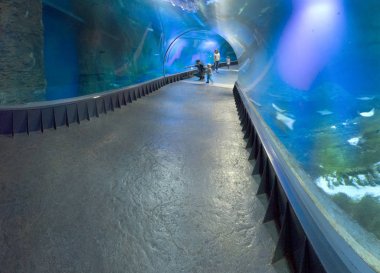 WROCLAW, POLAND - MAY 20, 2019: The Wroclaw Africarium (Polish: Afrykarium) is the only themed oceanarium devoted solely to exhibiting the fauna of Africa. Is a part of the Zoo in Wroclaw, Poland.