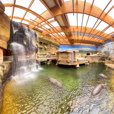 WROCLAW, POLAND - MAY 20, 2019: The Wroclaw Africarium (Polish: Afrykarium) is the only themed oceanarium devoted solely to exhibiting the fauna of Africa. Is a part of the Zoo in Wroclaw, Poland.