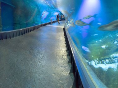 WROCLAW, POLAND - MAY 20, 2019: The Wroclaw Africarium (Polish: Afrykarium) is the only themed oceanarium devoted solely to exhibiting the fauna of Africa. Is a part of the Zoo in Wroclaw, Poland.