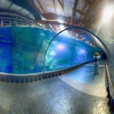 WROCLAW, POLAND - MAY 20, 2019: The Wroclaw Africarium (Polish: Afrykarium) is the only themed oceanarium devoted solely to exhibiting the fauna of Africa. Is a part of the Zoo in Wroclaw, Poland.