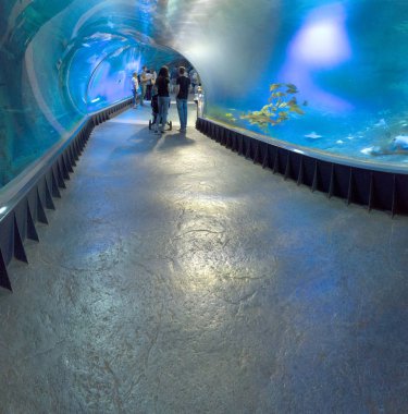 WROCLAW, POLAND - MAY 20, 2019: The Wroclaw Africarium (Polish: Afrykarium) is the only themed oceanarium devoted solely to exhibiting the fauna of Africa. Is a part of the Zoo in Wroclaw, Poland.