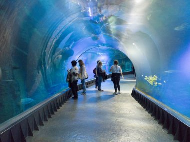 WROCLAW, POLAND - MAY 20, 2019: The Wroclaw Africarium (Polish: Afrykarium) is the only themed oceanarium devoted solely to exhibiting the fauna of Africa. Is a part of the Zoo in Wroclaw, Poland.