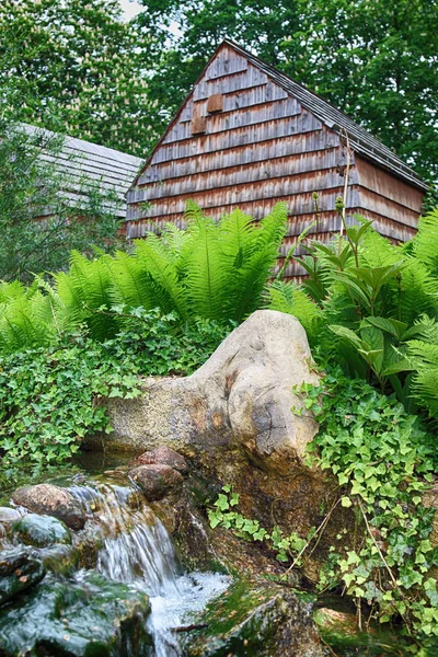 Wroclaw Polonia Mayo 2019 Jardín Zoológico Wroclaw Zoológico Más Antiguo — Foto de Stock