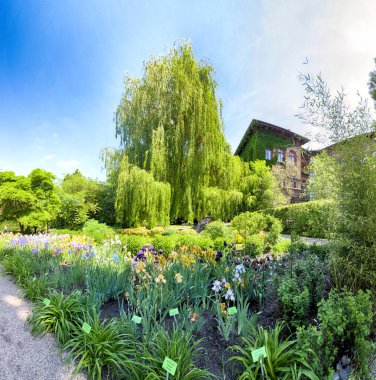 Wroclaw, Polonya-Mayıs 30, 2019: Botanik Bahçesi Wroclaw, Polonya. Bahçe 1811 den 1816 katedral Adası (Ostrow Tumski), şehrin en eski parçası üzerinde inşa edilmiştir.